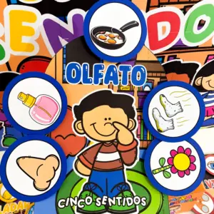 Os 5 Sentidos